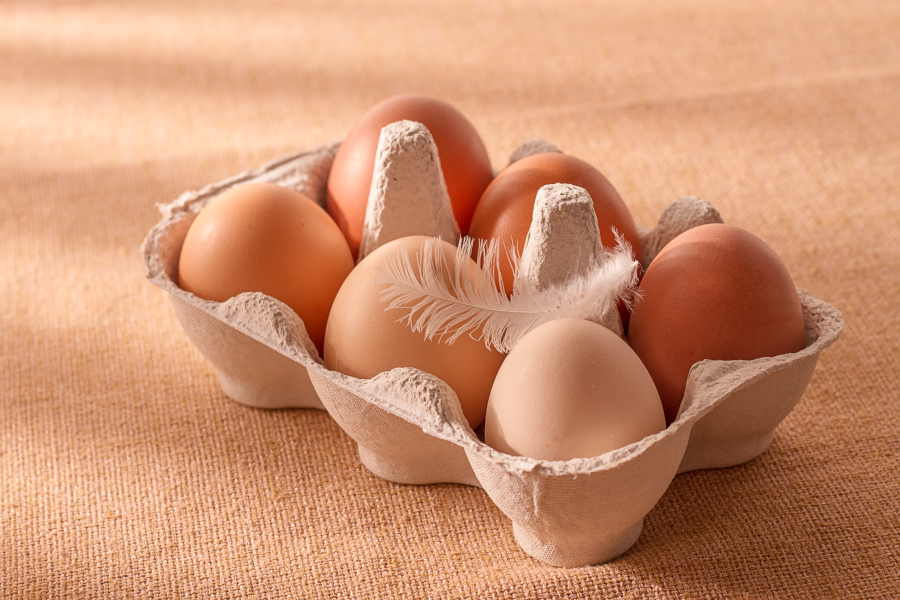 Eier