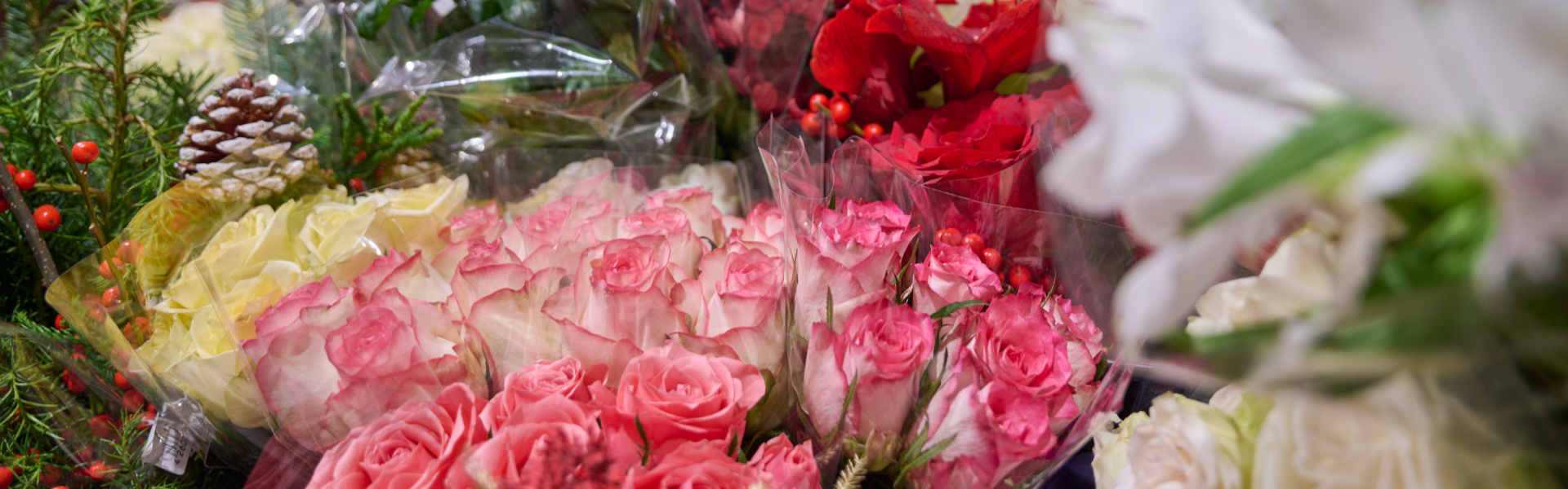 Blumen